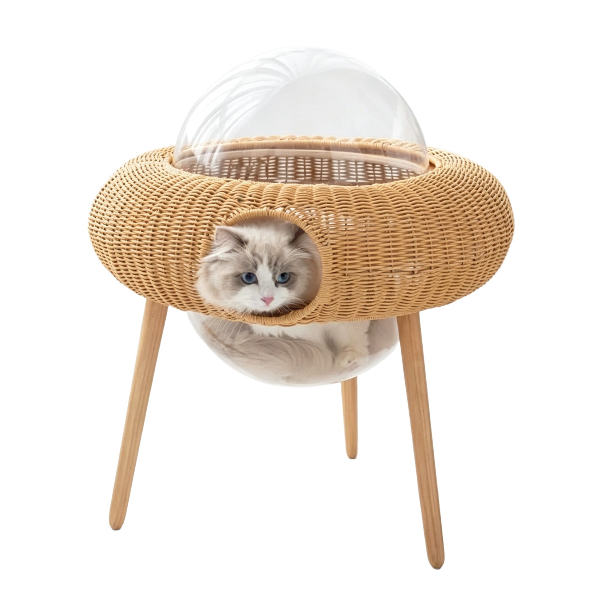 UFO Wicker Cat Bed with Transparent Dome