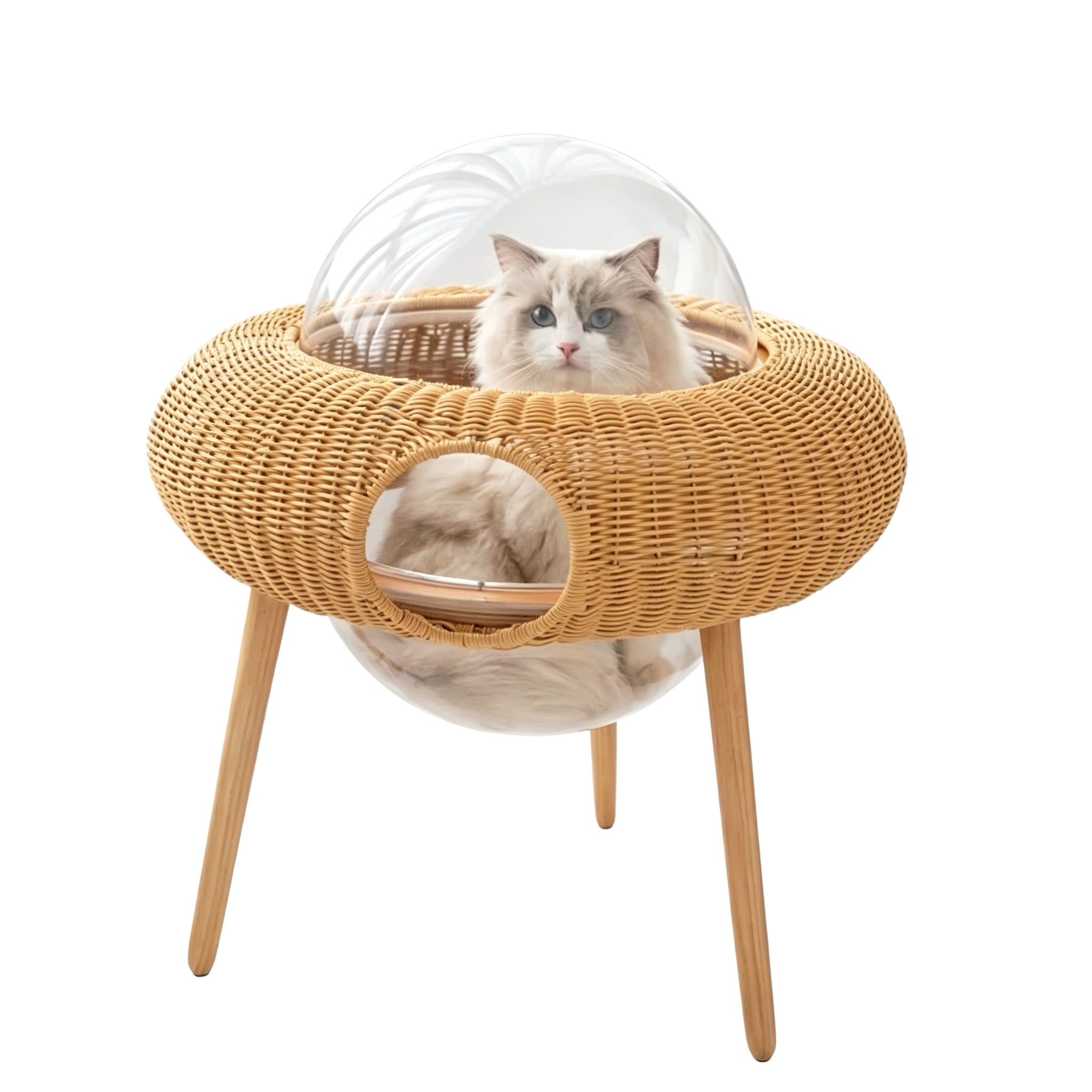 UFO Wicker Cat Bed with Transparent Dome