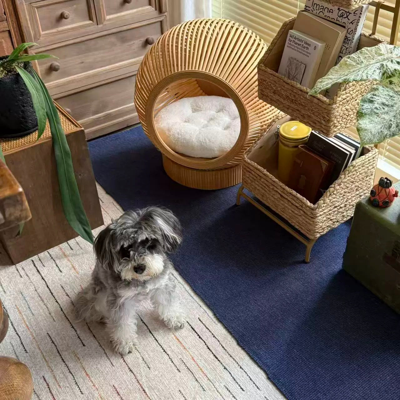 Rattan Cat Bed with Soft Cushion